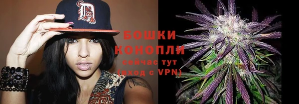 кокс Бородино