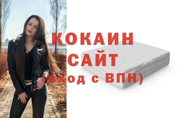 Альфа ПВП Верея