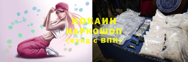 Альфа ПВП Верея