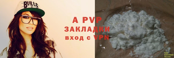 Альфа ПВП Верея