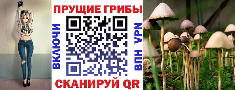 Галлюциногенные грибы прущие грибы  Карасук 