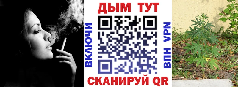 Бошки Шишки планчик закладки Карасук